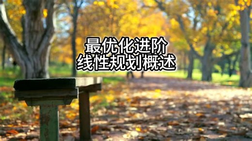 最优化进阶---线性规划概述