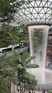 2.2K views · 51 reactions | Discover Singapore - where beauty,...