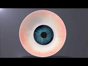 Maya Tutorial | How to create easy eye | Eyeball with Arnold
