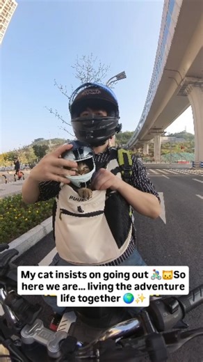 Miwos Magic | If your kitty loves exploring, this pet travel backpack is the perfect ride-along buddy carrier 😻 Safe, breathable, and comfy — now your... | Instagram