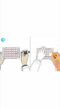 How to Do a Scratch Assay (The FAST & REPRODUCIBLE Way)! #animation #clyte #science #howitworks