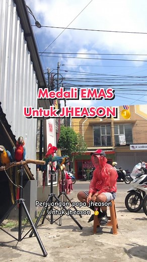Semangat papa Jheason untuk Jheason 🥇❤️ #fyp #trending #beranda #viral #bodycontes #muscle #bodygoald #competition #freeflyparrot