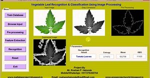 Vegetable Plant Recognition using Image Processing Matlab Project Code IEEE Project