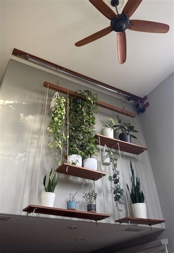 Civil Engineer Turns Plant Lady: Indoor Plant Display Tips