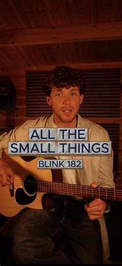 Easy Acoustic Guitar Tutorial for 'All the Small Things'