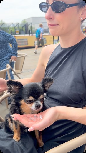 Jack P. Shepherd | 🥵🐶 | Instagram