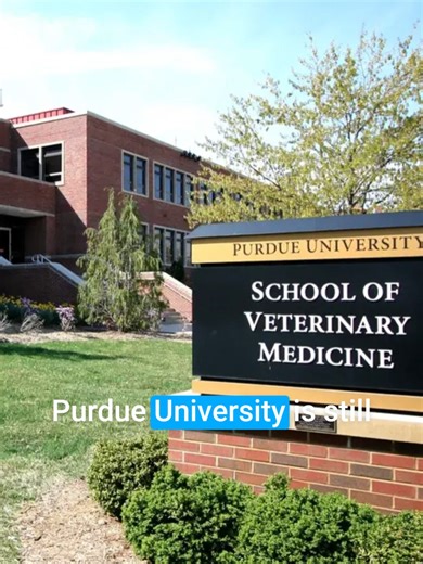 We are disappointed that Purdue University College of Veterinary Medicine continues to use terminal laboratory protocols that rely on the routine unaliving of animals who appear otherwise healthy. Publicly available teaching protocols show that each year, dozens of animals, including sheep, horses, birds, fish, and dogs, are requested for use in training labs where medical or surgical procedures are performed and the animals do not survive the course. In many cases, there is no indication these 