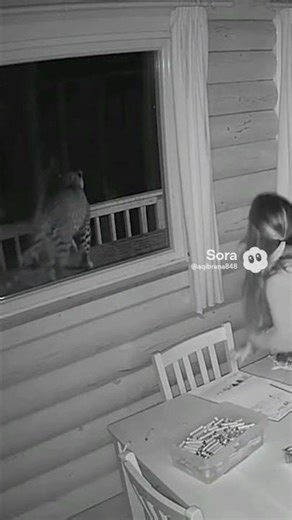 Real Camera Footage #funny #shorts