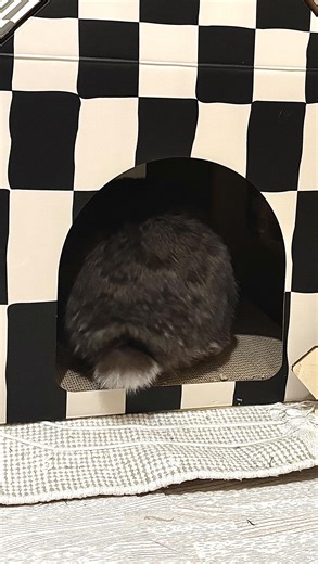 cookiebun on Instagram: "Rabbits are NOT low maintenance pets … ⬇️ During the victorian ages, people kept rabbits for meat and housed them in small hutches/cages outdoor. Since they became a popular pet, for some bizarre reason, their housing never changed. Now most rabbits in the uk live a miserable life confined to small hutch outside, subject to extreme weather conditions, predators and life long isolation - if you’re planning on getting rabbits and keeping them this way, please consider alte