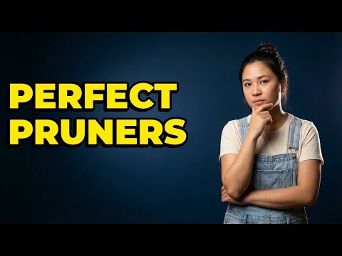 How Do I Select Pruning Tools For Leggy Plants?