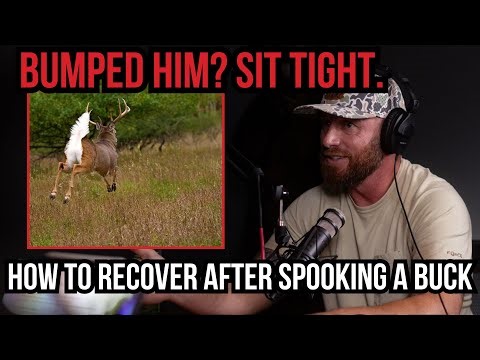 What to Do After You Bump a Buck | Trail Camera & Whitetail Recovery Strategy