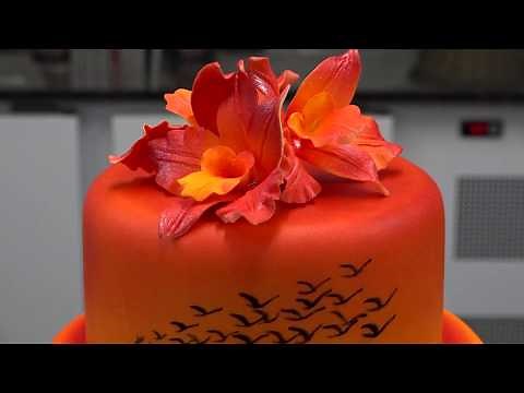 Comment utiliser l'aérographe ?