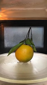 Microwave VS Orange 🍊 #microwave #scienceexperiments #satisfyingvideos | Microwave smash
