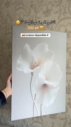 Tableaux décoratifs Framories on Instagram‎: "للناس اللي تحب البساطة Tableaux en toile / القياسات و الالوان تتغير حسب الطلب توصيل متوفر 🚛🇩🇿 #tableau #decor #لوحات #algerie🇩🇿 #الجزائر🇩🇿⁩"‎