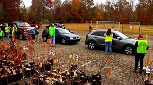 Asheville GreenWorks makes 400 native trees available for 'adoption' at Halloween event