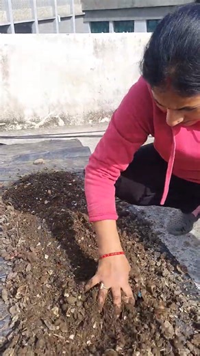 Pehle Yeh Karo, Phir Plants Lagao🌿