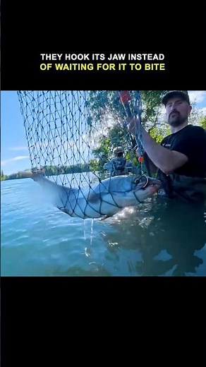 This is how we harvest salmon in Alaska