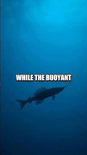 Viperfish Hidden Lure