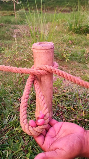 One Constrictor Knot, Unlimited Uses!