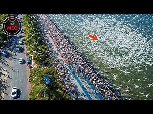 Strange Things Happening Right Now Around the World | One In a Billion Moments In Nature (P10)