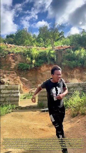 Chicken Call Magic: How a Simple Sound Gathers a Flock Instantly