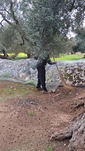 Video di ANDREA (@andrea.urso6) con suono originale - Mario