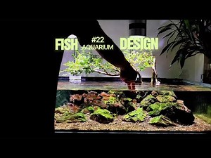 River Style Aquascape with Peaceful & Stunning Fish #22