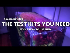 The Test Kits I Use for Aquascaping (And Why You Should Too!)