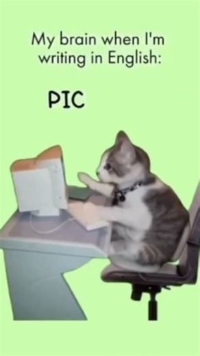 when I learn English #funny #memes #funnymemes #memedaily #memesvideo #facts #comedy #shorts