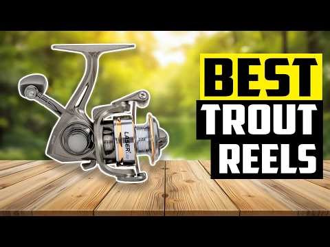 I Finally Found a Best Trout Reel That Just Feels Right In 2026