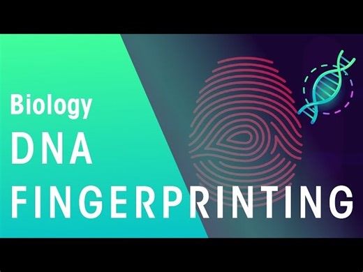 What Is DNA Fingerprinting - DNA Profiling Explained