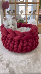 Our most popular product - Hand knitted Cat bed, Super chunky Merino wool. Yarn: becozi.net Video: YouTube.com/c/becozi/videos Music: Views Musician: @iksonmusic | BeCozi