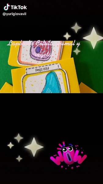 Lapbook de la célula animal y vegetal. #actividadlúdica #parati #maestraenaccion🥰👩🏻‍🏫