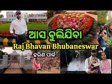 ଆସ ବୁଲିଯିବା Raj bhavan Bhubaneswar ହରିଣ ପାର୍କ 🏤🦌🦌🦚🦚🦜🦜🐓🦃🐟