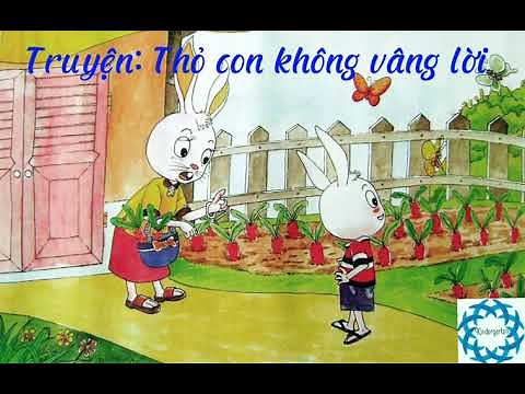Truyện: Thỏ con không vâng lời | Thỏ con không nghe lời | Vườn Tuổi Thơ