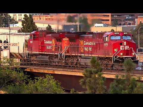 Eastern Washington BNSF and Union Pacific Freight Trains