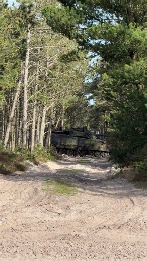 CV9035DK in the Woods