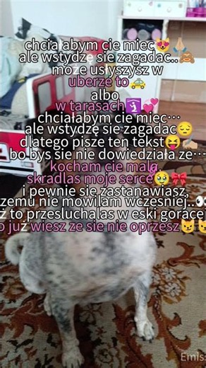 muj pies zmarł w 14 czerwca 2025r 🪽🕊️ spoczywaj w pokoju sppike🕊️..