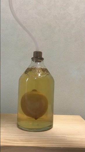 パスカルの原理