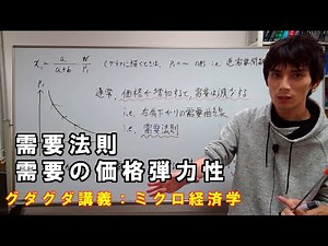 【ミクロ経済学】ミクロ経済学についてグダグダ語る講義：需要の価格弾力性【難易度：学部初級から中級】