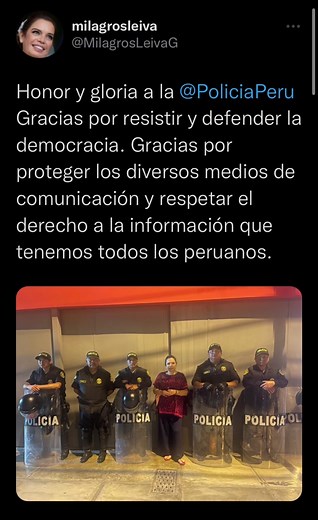 Pupo (@redpupo)’s videos with Blade Runner 2049 - Synthwave Goose