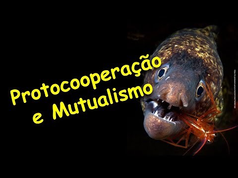 Protocooperação e Mutualismo.
