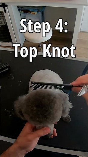 How to do a Poodle Face #poodle #dog #grooming