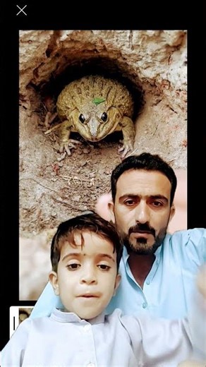 Funniest Reactions Ever Caught on Camera 🎥😂