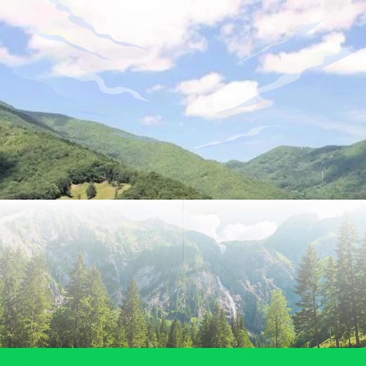 Maggie Valley: Your Mountain Playground 🏞️ Scenic views 🌄, outdoor fun 🥾, local charm 🛍️, and family experiences. Discover your perfect mountain escape in Maggie Valley! Experience the Magic of Maggie Valley: Wildlife Encounters: Spot majestic elk 🦌 near the Oconaluftee Visitor Center in Cherokee (Cataloochee Valley temporarily closed). Family Fun: Enjoy tubing, skiing ⛷️, and other family-friendly activities. Year-Round Adventures: Ski in winter at Cataloochee Ski Area, hike in summer, and