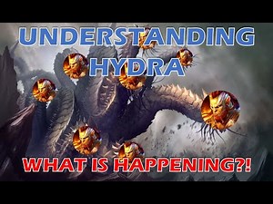 Ultimate Hydra Guide: Understanding Rotation 6 Heads | Raid Shadow Legends