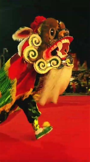 Chinese lion dance very funny,That’s Big Head Buddha and Lion-leading. #liondance #chineseliondance