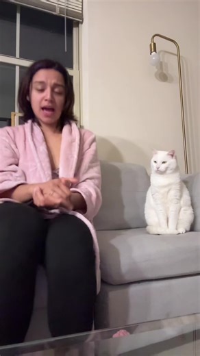 My Cat is a 10: Embracing Her Sassy Personality