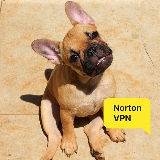 1.2K views · 12 comments | Cybersecurity is music to our ears, too.  | Norton | Facebook