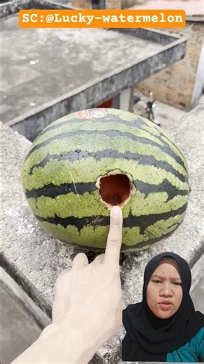 Dropping Watermelons From Up High | Lucky-watermelon #watermelon #experiment #funny #funnyvideo